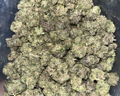 MINT CHOCOLATE CHIP smalls (MEGA STEAL) (SKULLS CUT) - Image 5